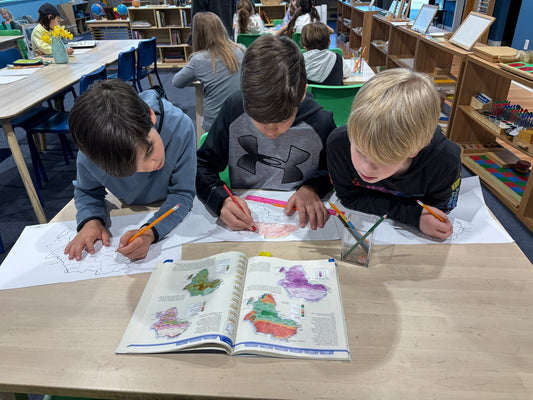 Microschool Consultation | One-on-One Strategy Session - The Village Compass